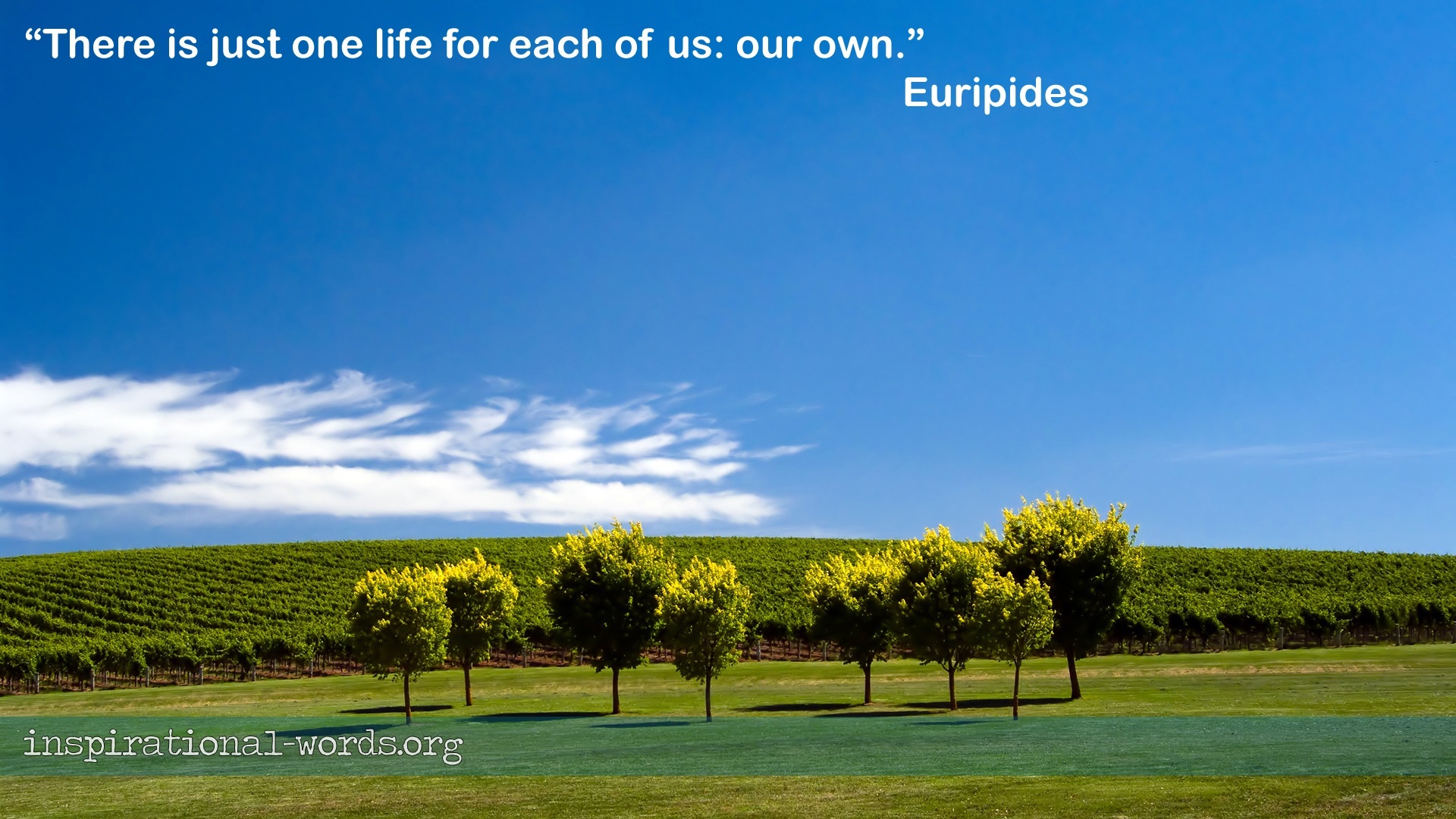 Euripides inspirational wallpaper