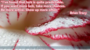 Inspirational Wallpaper Quote of the day: Brian Tracy