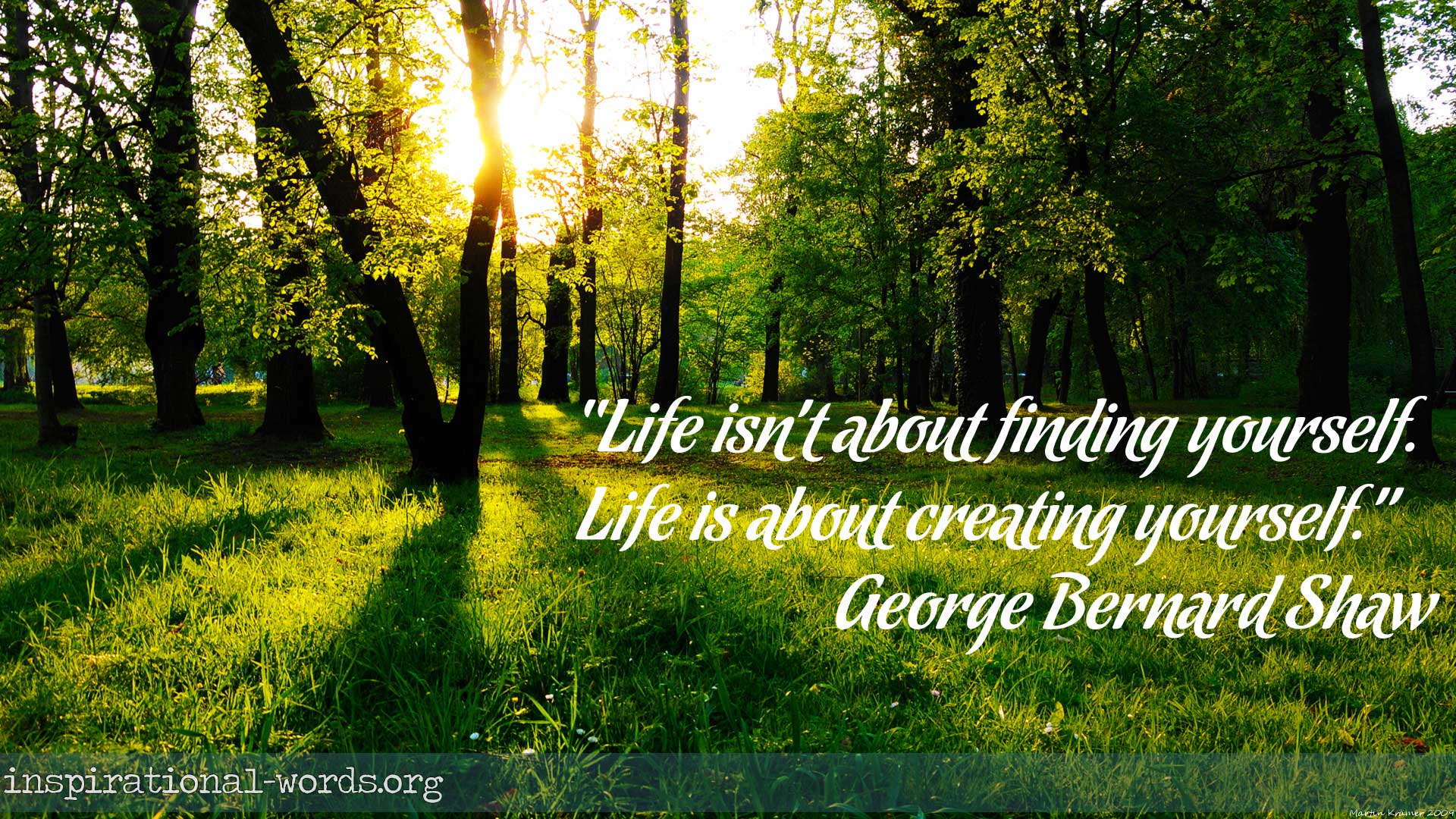 Inspirational Wallpaper Quote by George Bernard Shaw