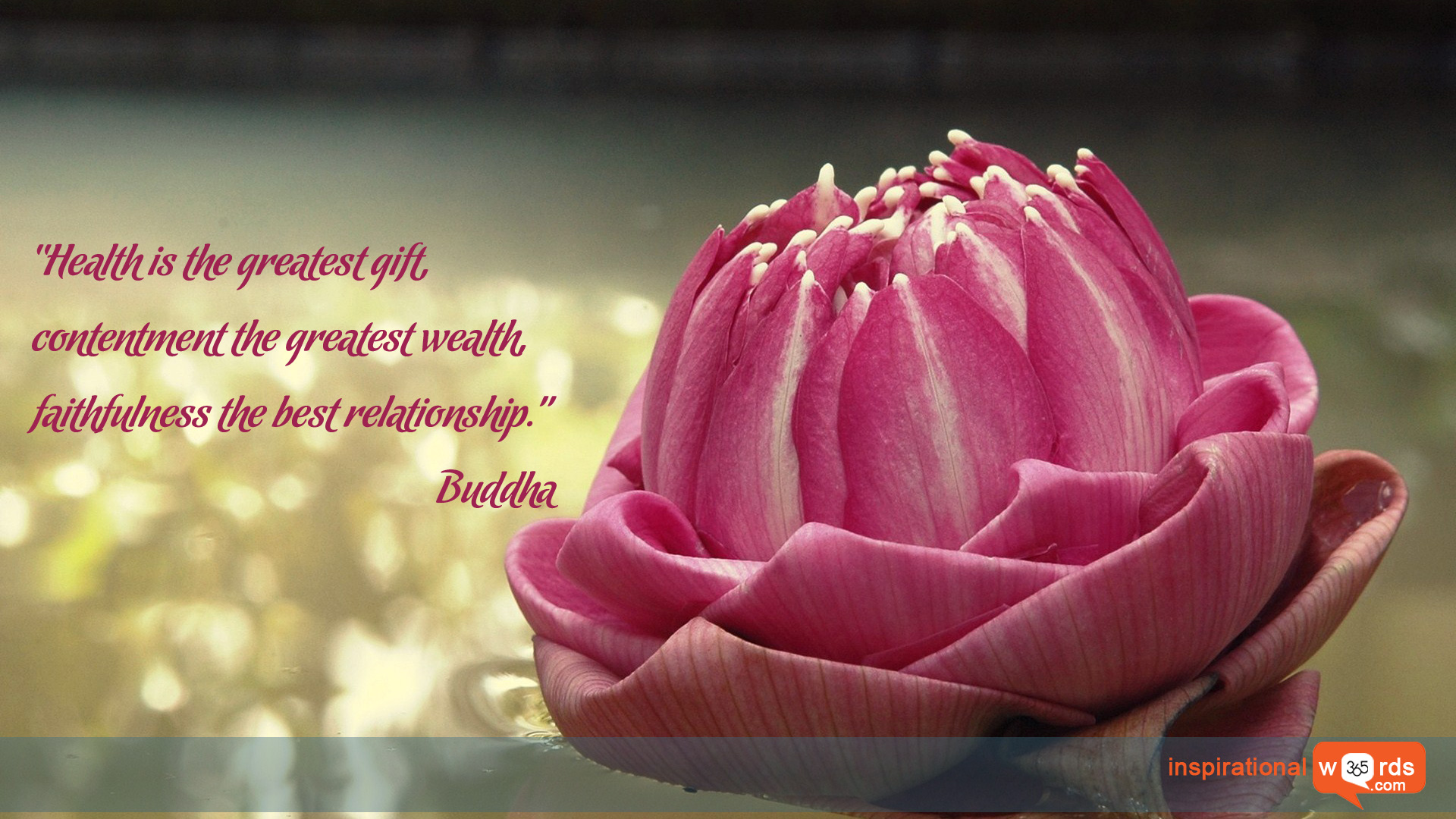 Inspirational Wallpaper Quote by Buddha