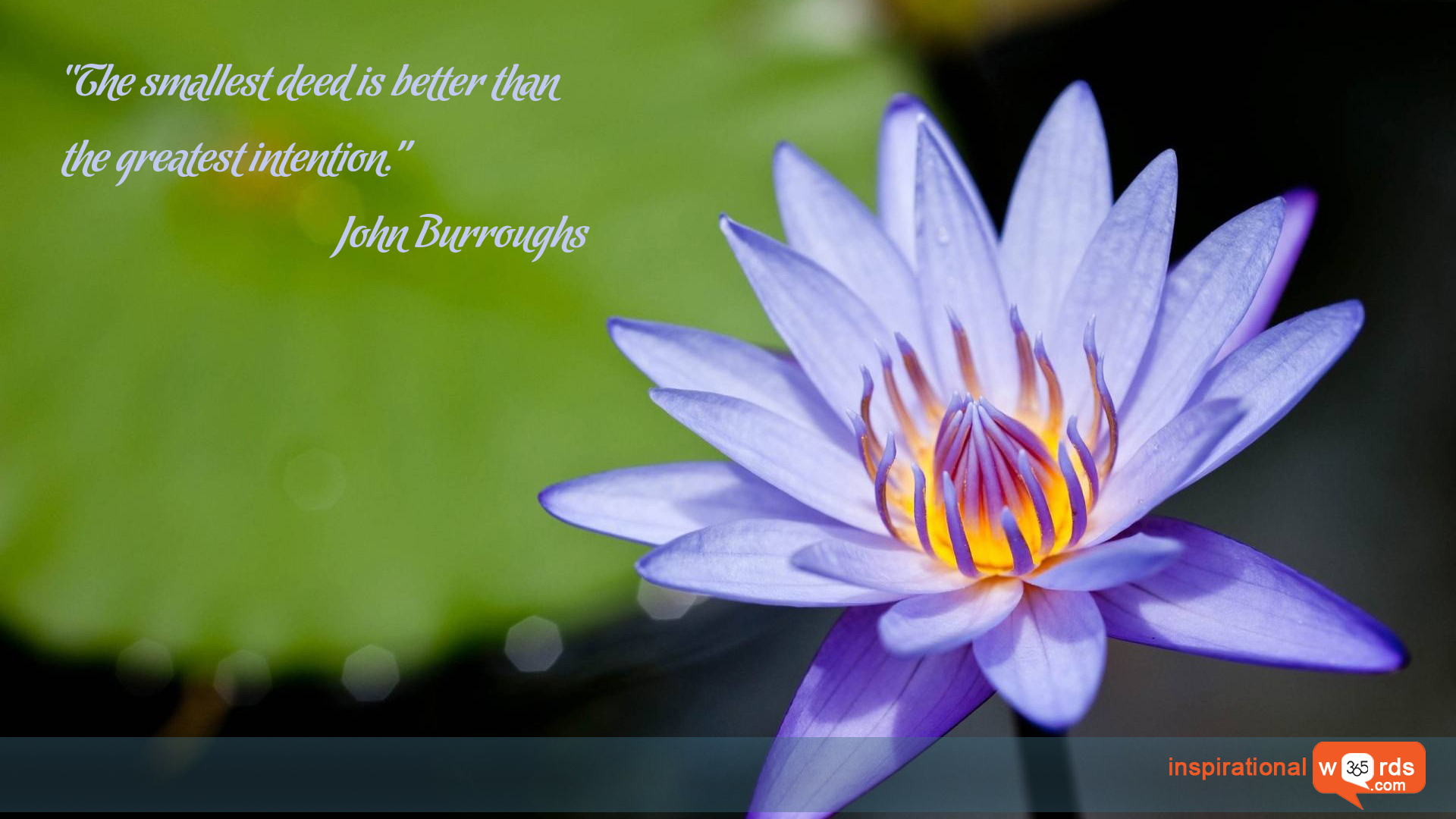 Inspirational Wallpaper Quote by John Burroughs